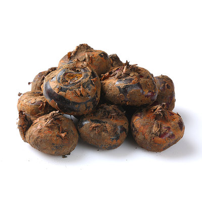 [荸荠(马蹄)300g/份]