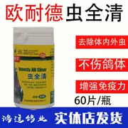 Sâu bọ bồ câu ONeill tất cả các loài chim bồ câu trong và ngoài giun tròn giun tròn chim bồ câu chim và côn trùng cung cấp thuốc chim bồ câu - Chim & Chăm sóc chim Supplies