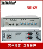 Ririgao (Hangzhou) Небольшой усилитель мощности продукта USB-50W Усилитель