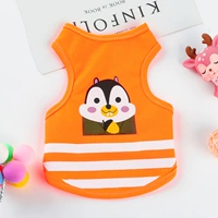 Оранжевая белка жилет