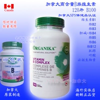 Канада оригинал Organika B100 высокий содержание B -витамина B Group 120 Таблетки B2 B6 B12
