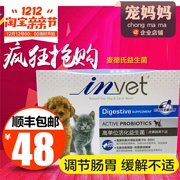 Med của invet dog probiotics pet cát Teddy cat với điều hòa dạ dày sản phẩm sức khỏe nôn tiêu chảy