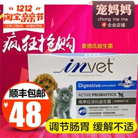 Med của invet dog probiotics pet cát Teddy cat với điều hòa dạ dày sản phẩm sức khỏe nôn tiêu chảy sữa chó con