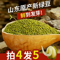 Yimeng Big Girl Mung Bean Yisha Yi кипяченовые фермеры.