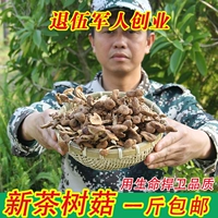 В этом году самостоятельно выпущенные наполовину грибы с чайными деревами