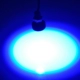 Changliang Blue One две линии