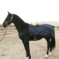 Водонепроницаемая и дышащая тренировочная лошадь Mai Rocky Horse 8216054