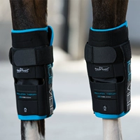 Лошади -конная icocing -Knee -Knee Rockma Horse 8216017