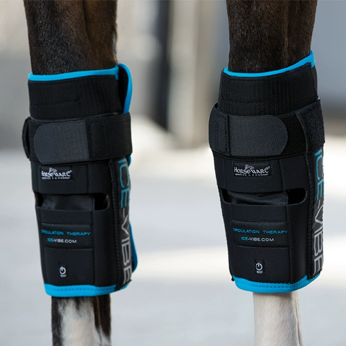Лошади -конная icocing -Knee -Knee Rockma Horse 8216017