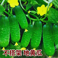 Королевский синий