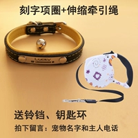 Желтый воротник+телескопическая тяговая веревка