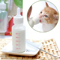 Питовые молочные бутылка молоко молоко котенок