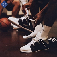 Adidas Adidas 2019 giày nam mới Giày bóng rổ chiến đấu Pro Vision EE4588 G27755 - Giày bóng rổ giày thể thao cao cổ