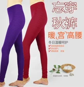 Quần dài nữ sọc đơn mảnh quần sọc đáy quần lót mỏng dây quần kích thước lớn trung niên cơ sở ấm quần