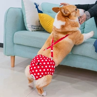 Красные физиологичные штаны
