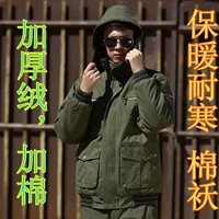 Военный зеленый хлопковой курт