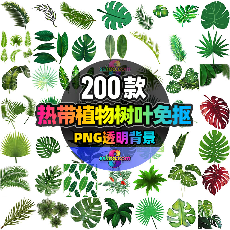 热带植物龟背竹棕榈芭蕉叶子树叶PNG免抠图片元素PS平面设计素材