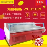 Sui Ling DLCD-2.0PF tủ lạnh lớn tủ lạnh nhiệt độ duy nhất tủ lạnh trưng bày tủ tươi thịt tủ nấu chín tủ đông thực phẩm tủ đông tươi - Tủ đông