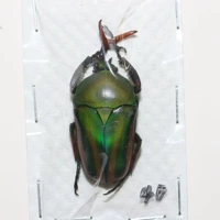 Мужской №4 40мм