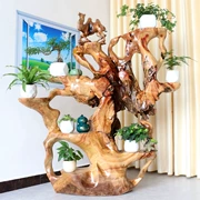 Toon gỗ gốc khắc khung gỗ cây thân gỗ tự nhiên cơ sở sàn phòng khách gỗ khắc trang trí gốc nghệ thuật khung bonsai - Các món ăn khao khát gốc