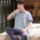 Bộ đồ ngủ tuổi teen bé trai mùa hè quần ngắn tay cotton nguyên chất cậu bé lớn 15-16-17 tuổi phù hợp với học sinh trung học cơ sở