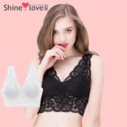 Amour ren phần mỏng không có vòng thép đồ lót bra bra SL17152 eo cao boxer tóm tắt SL23152 set - Bộ đồ lót