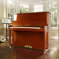 Đức DUEMMEL Domer piano dọc chuyên nghiệp kiểm tra chuyên nghiệp dạy trẻ em mới bắt đầu với thương hiệu mới - dương cầm yamaha p120