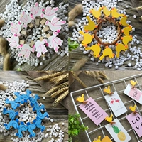 Фотография с животными, мультяшная открытка, Южная Корея