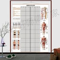 Столовая таблица сцена с точечной таблицей фитнеса Термин -таблица Rasal Table йога частная медицинская медицина Оценка тела оценка