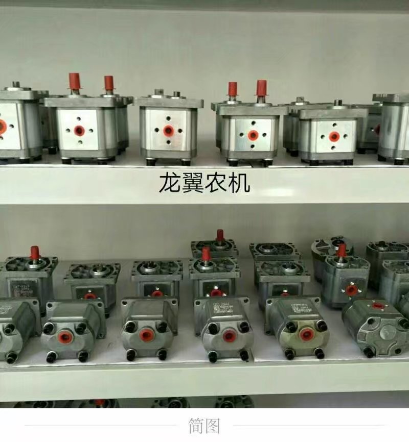 Bơm bánh răng thủy lực Bơm dầu thủy lực CBN-F306 310 314 316 320 325 spline phím phẳng phím đơn bộ bơm dầu thủy lực bơm thủy lực cánh gạt