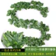 80 штук одного наряда Green Dill 12