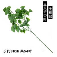 Симуляция зеленой тригемы Гинкго листья