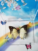 Светло-зеленый