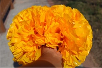 Обновить югуан 5 дюймов (Югуан Хуан)