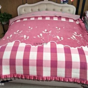 Giường nhung pha lê dày tùy chỉnh trải bốn mùa tấm chiếu cộng với chức năng lớn ab sử dụng kép kích thước lớn - Trải giường