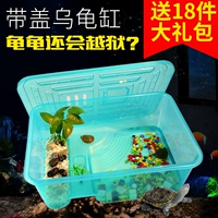 Ящик для размножения черепах с парижкой с опухолью черепахи