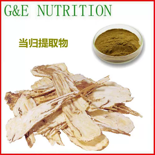 Экстракт Анжелики 10: 1 Натуральный растительный экстракт Экстракт Анжелики 100G