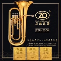 Nhạc cụ châu Âu đích thực Phím ba vị trí nâng cao trên âm trầm nhỏ B-paint sơn mài vàng loại ZEU-2500 - Nhạc cụ phương Tây đàn nguyệt
