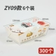 ZY09 6 установлен 300