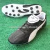 PUMA ESITO SL FG chính hãng 彪 王 王 牛皮 足球 Phiên bản sao cổ điển cũ 103336 01 giày thể thao nam chính hãng Giày bóng đá