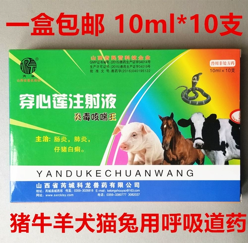 Ветеристы и звери с сердечными инъекционными свиньями и овцами с собаками и кошачьим пневмонитом диарея диарея дизентерия