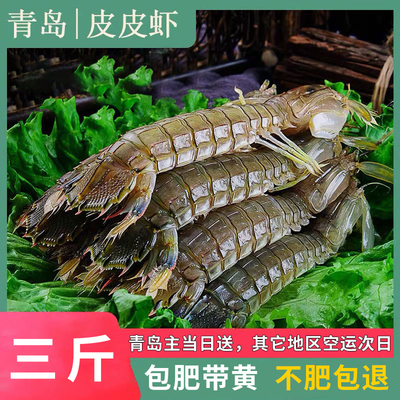 Qingdao Seafood Pipa креветки креветки креветки креветки свежие кожи кожи Pign 3 фунта 30-40