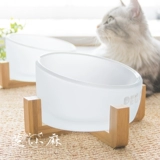 Кошачья чаша Стакан Стакан миска с водой миска рисовая миска рисовая миска, чтобы предотвратить утечку с плоским бассейном для кошачьего кошачьего кошачья миска миска миска миска миска миска миска миска миска
