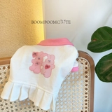 /Breaking Little Mite/Little Mitt Dog of Cightergarten, чтобы стать маленькой юбкой Pet York Pet York Show