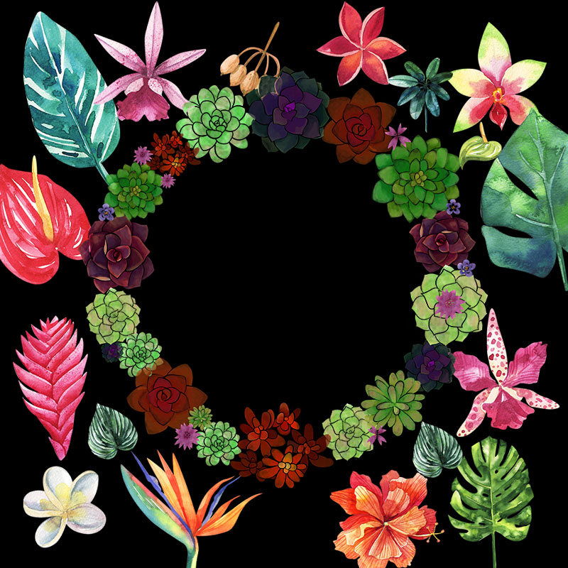 热带多肉植物树叶绿叶花朵花卉手绘水彩剪贴插画插图PNG免扣素材