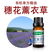 Satya Pháp spike hoa oải hương tinh dầu 10 ml đơn phương tinh dầu chăm sóc da mặt massage cơ thể hương liệu hương liệu