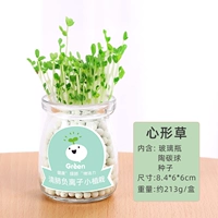 Бутылка, маленький горшок