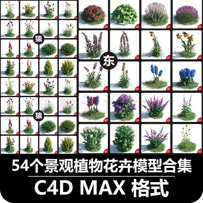 T517 54个c4d植物花卉树木盆栽景观模型3dmax植物花卉盆栽景...-1