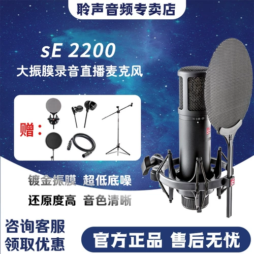 SE 2200 Профессиональная запись микроконтроллера Музыкальный инструмент Микрофон Запись города Голоса и пения k Песня