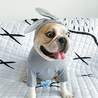 Chó thú cưng chiến đấu quần áo Keji Bago Teddy quần áo chó trung bình tai thỏ dễ thương phim hoạt hình mùa xuân và mùa thu quần áo - Quần áo & phụ kiện thú cưng áo cho mèo mùa đông